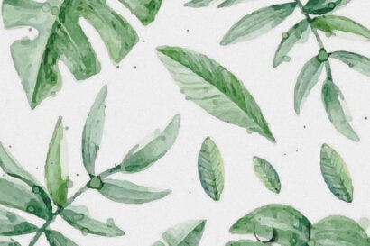 Loving leaves Aquarel Monstera Bladeren print Postcard