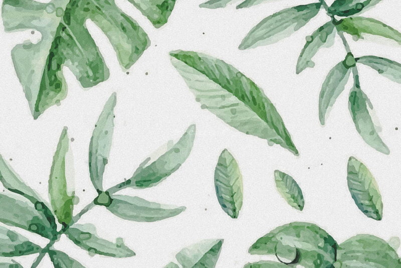 Loving leaves Aquarel Monstera Bladeren print Postcard